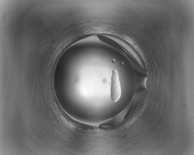 X0000064760481200602101227