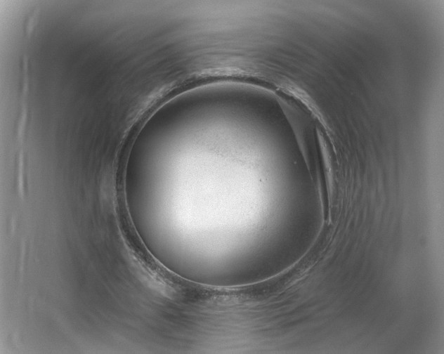 X0000064760482200602101227