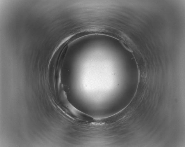 X0000064760484200602101227