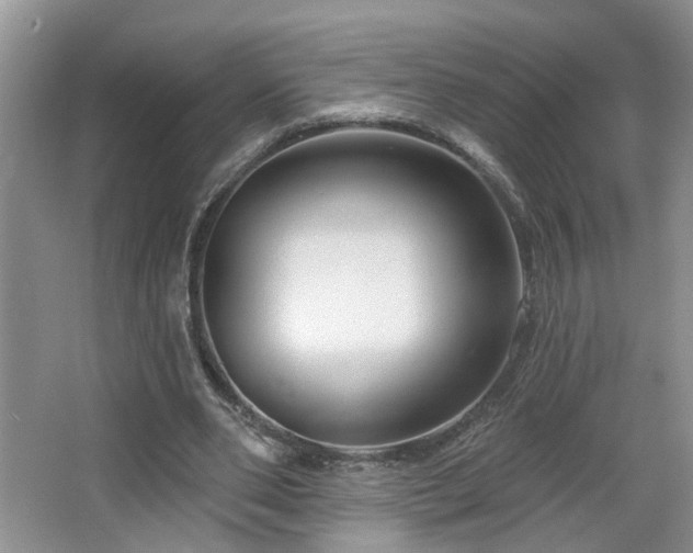 X0000064760486200602101227