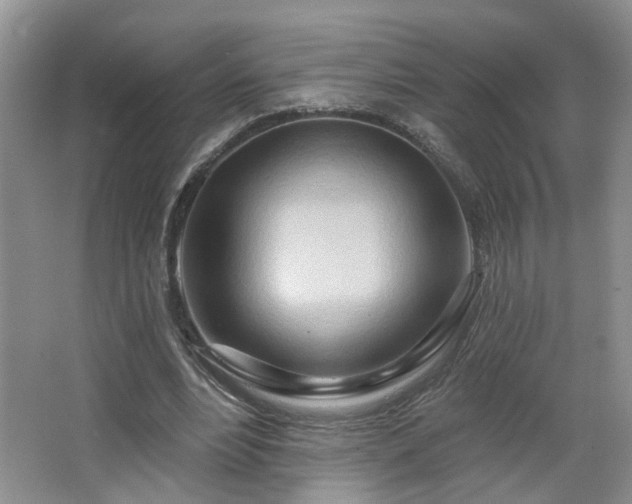 X0000064760488200602101227