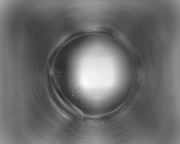 X0000064760490200602101227