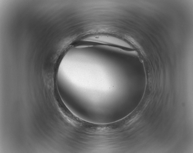 X0000064760493200602101227