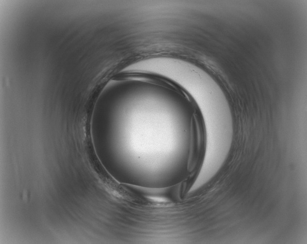 X0000064760501200602101227