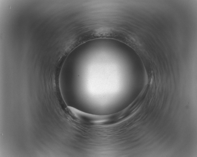 X0000064760508200602101227