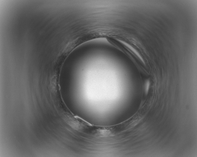 X0000064760509200602101227