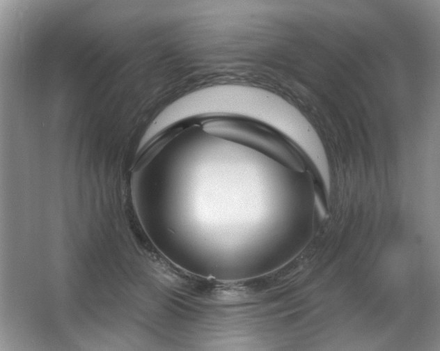 X0000064760510200602101227