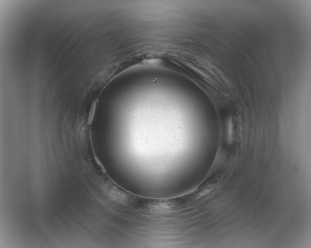 X0000064760513200602101226