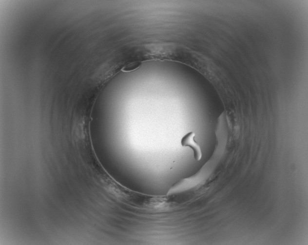 X0000064760514200602101226
