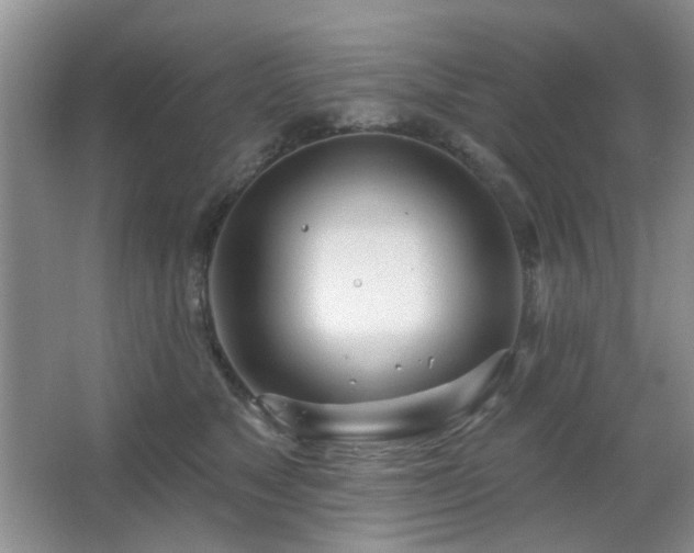 X0000064760517200602101226