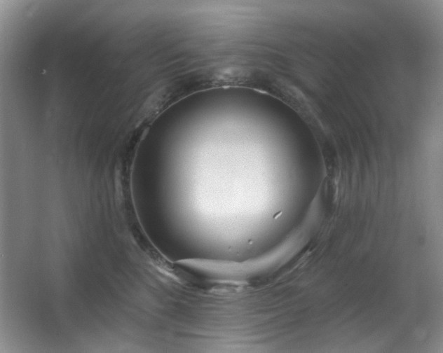 X0000064760520200602101226