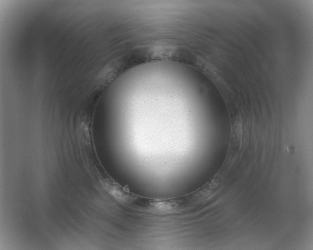 X0000064760522200602101226