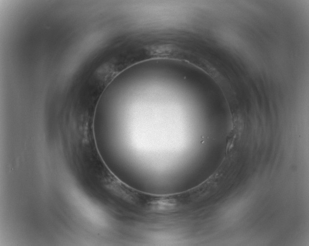 X0000064760525200602101226
