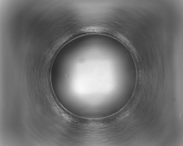 X0000064760529200602101225