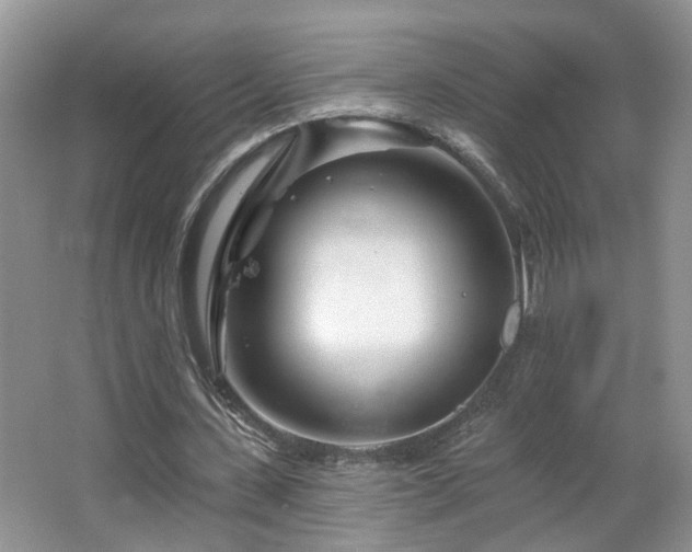 X0000064760531200602101225