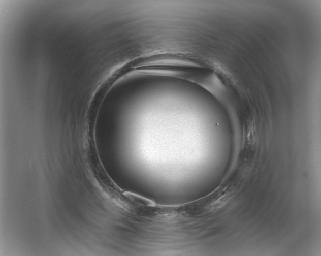 X0000064760540200602101226