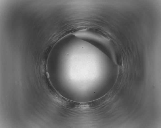 X0000064760554200602101226