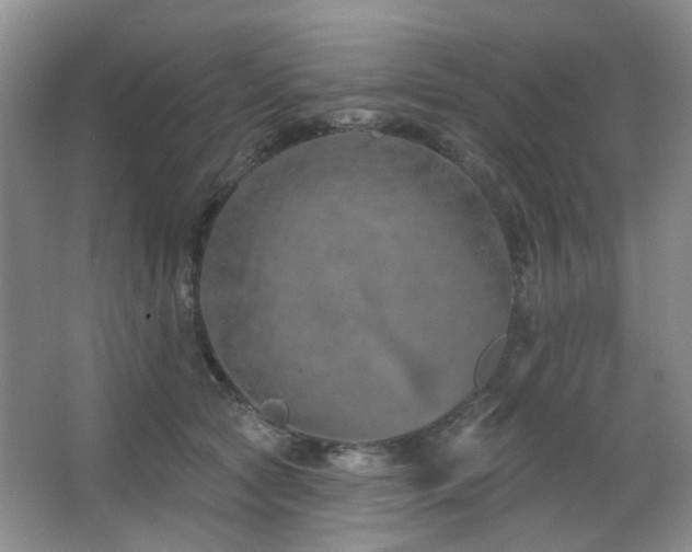 X0000064760561200602101226