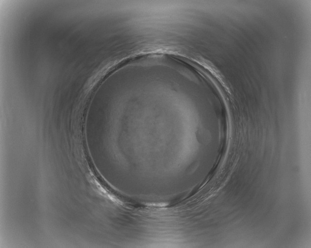 X0000064760577200602101225