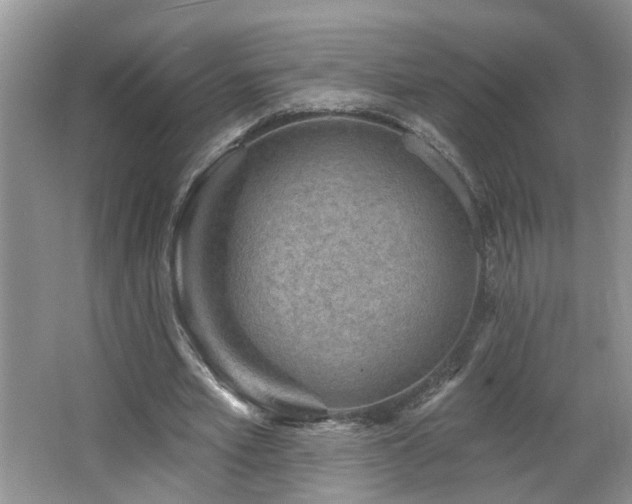X0000064760581200602101225