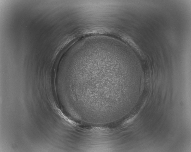 X0000064760585200602101225