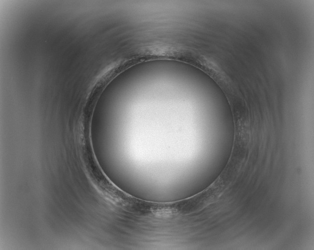 X0000064760587200602101225