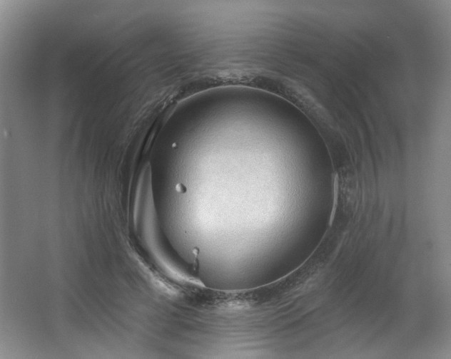 X0000064760593200602101225