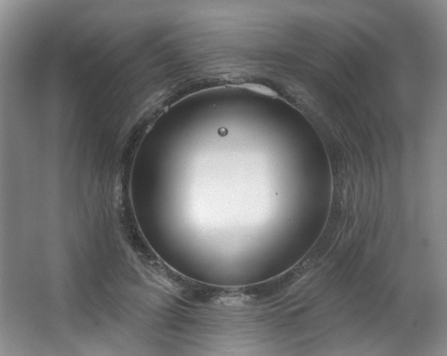 X0000064760595200602101225