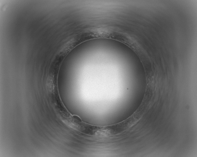 X0000064760599200602101225