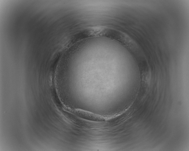 X0000064760602200602101225