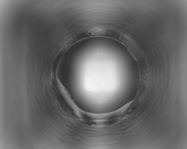 X0000064760604200602101225
