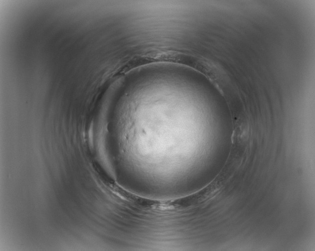 X0000064760607200602101225