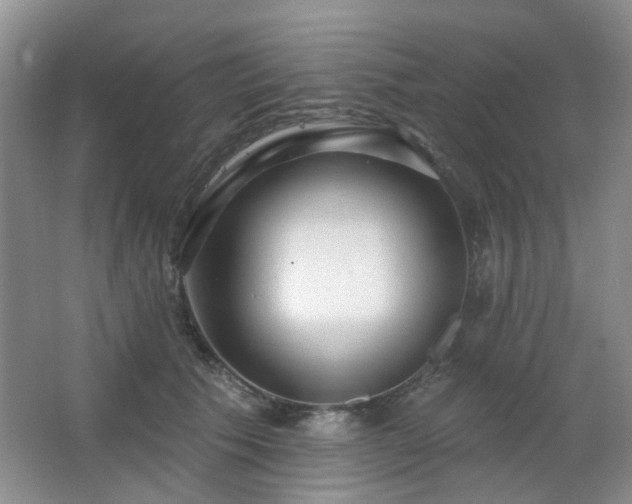 X0000064760609200602101225