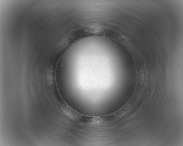 X0000064760612200602101225