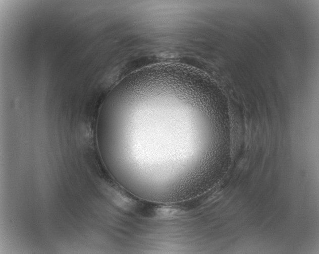 X0000064760614200602101225