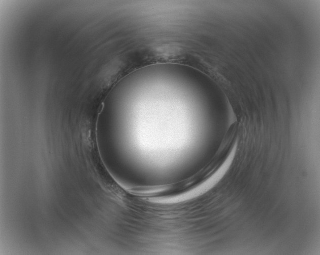 X0000064760615200602101225