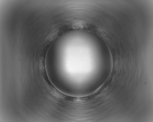 X0000064760616200602101225