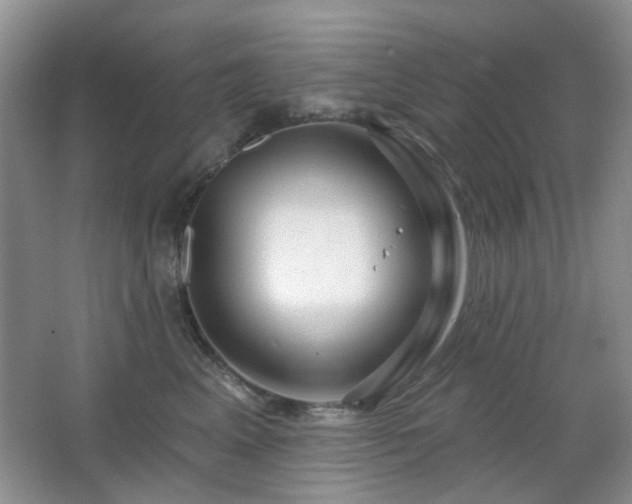 X0000064760617200602101225