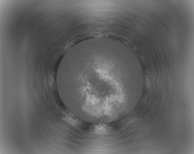 X0000064760618200602101225