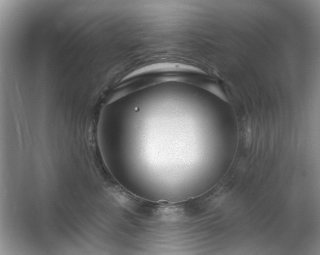 X0000064760619200602101225