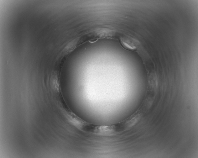 X0000064760622200602101225