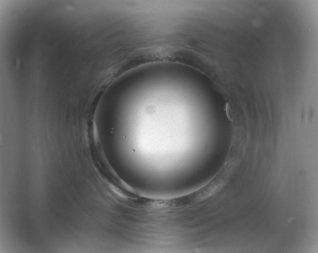 X0000064760624200602101225