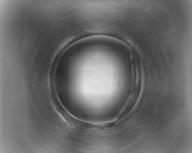 X0000064760626200602101224
