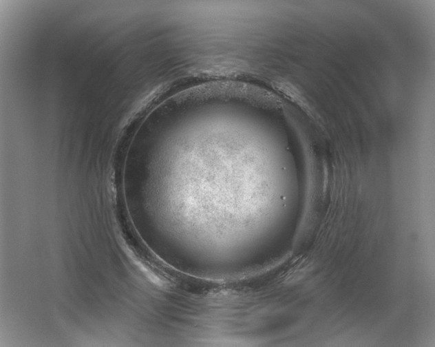 X0000064760634200602101224