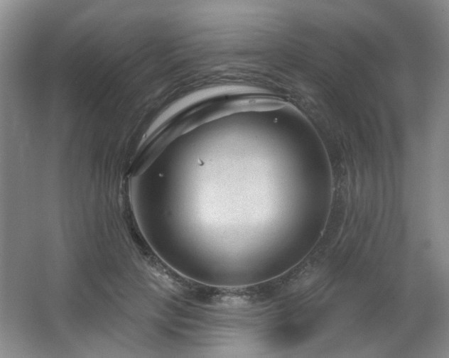 X0000064760649200602101224