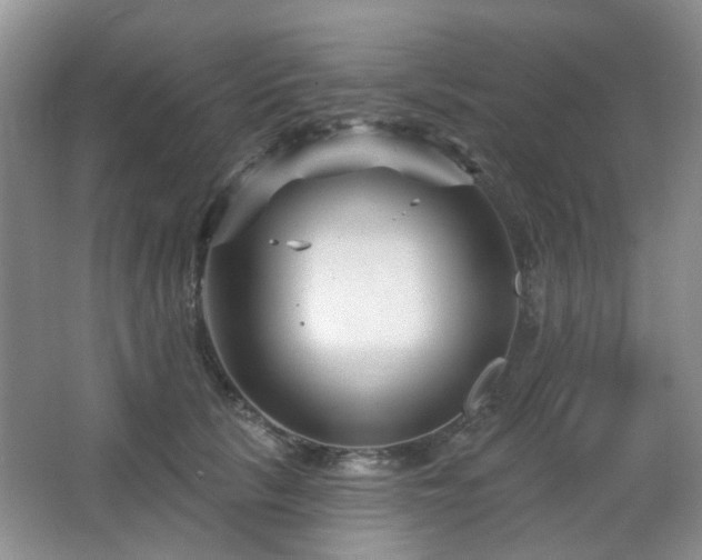 X0000064760657200602101224