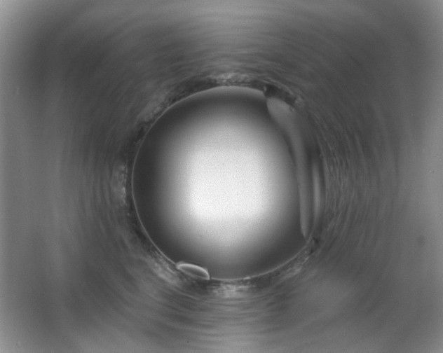 X0000064760664200602101224