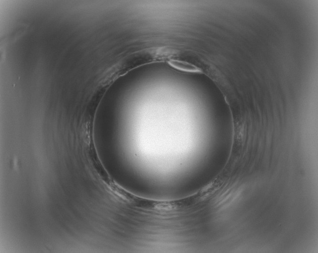 X0000064760666200602101224