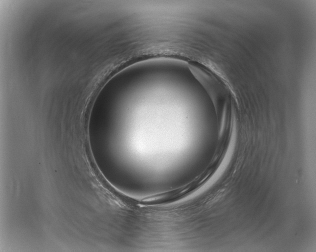 X0000064760673200602101224