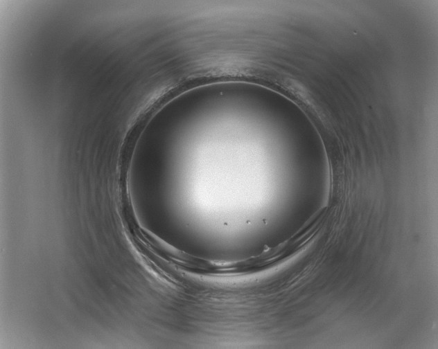 X0000064760677200602101224